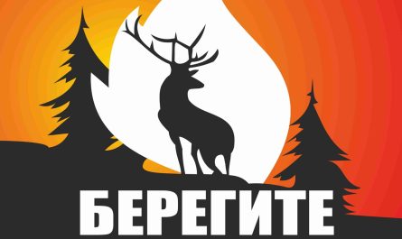 ограничения на въезд в леса