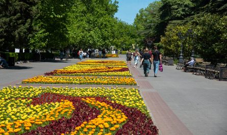 На Приморском бульваре высадили яркую композицию из бархатцев и бегоний